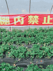 真皮|“有人敢卖,有人敢买,搞笑留言买家才是真皮!”