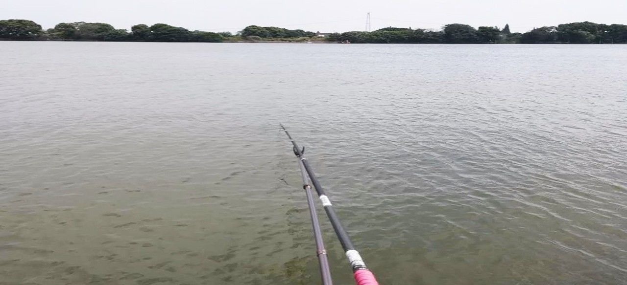 同样都是钓鱼,为何别人比你钓得多,秘密在这里