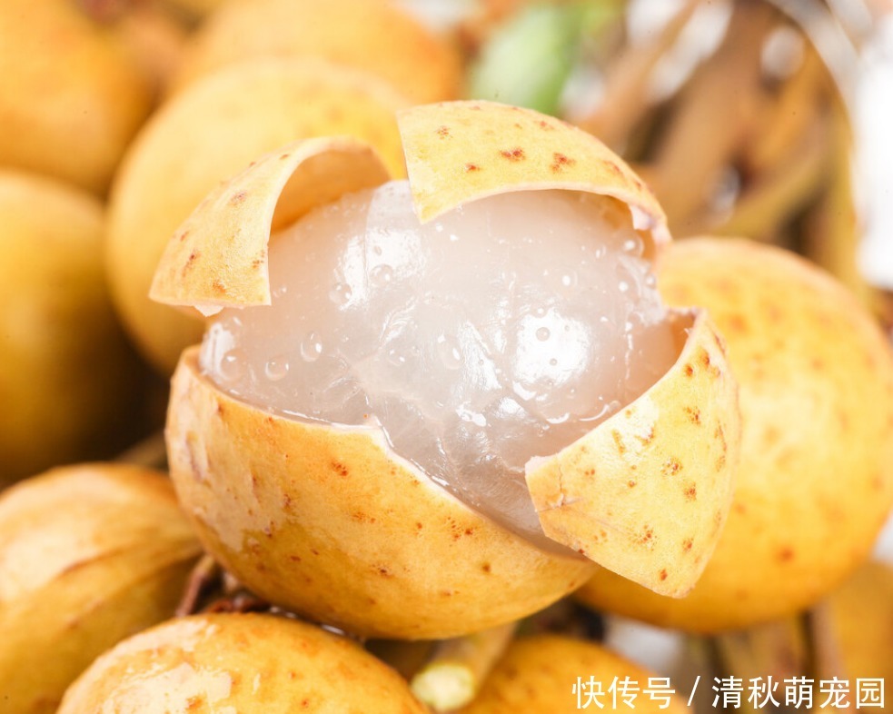 饮食|高血压如何调理?在饮食上,远离这5种食物且牢记这6点好处!