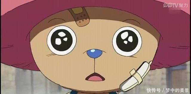 索隆|海贼王,草帽海贼团的外号,路飞的外号太普通,最霸气的是他俩