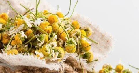 胃粘膜|天然的“养胃王”找到了, 常吃修复胃粘膜, 大小胃病不来扰