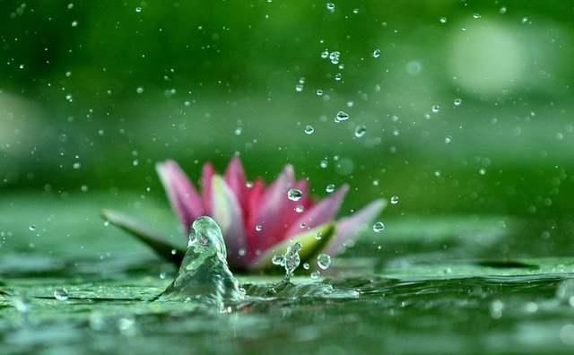  写给|李白少见写给妻子的唐诗，如同家常唠嗑一般，平淡中见真情