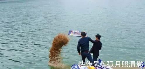 鱼类|钓鱼的最佳时间是什么时候多年经验的钓手告诉你