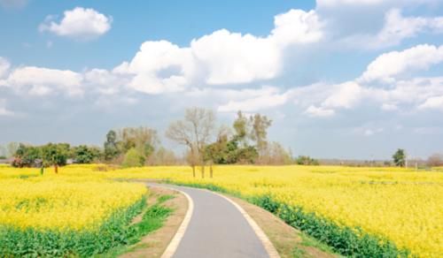 味道|食味安仁|舌尖上的二十四节气,小隐臻品时光味道