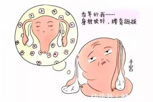 子宫|产后子宫怎么恢复快？做好这4点，加速你的子宫复原