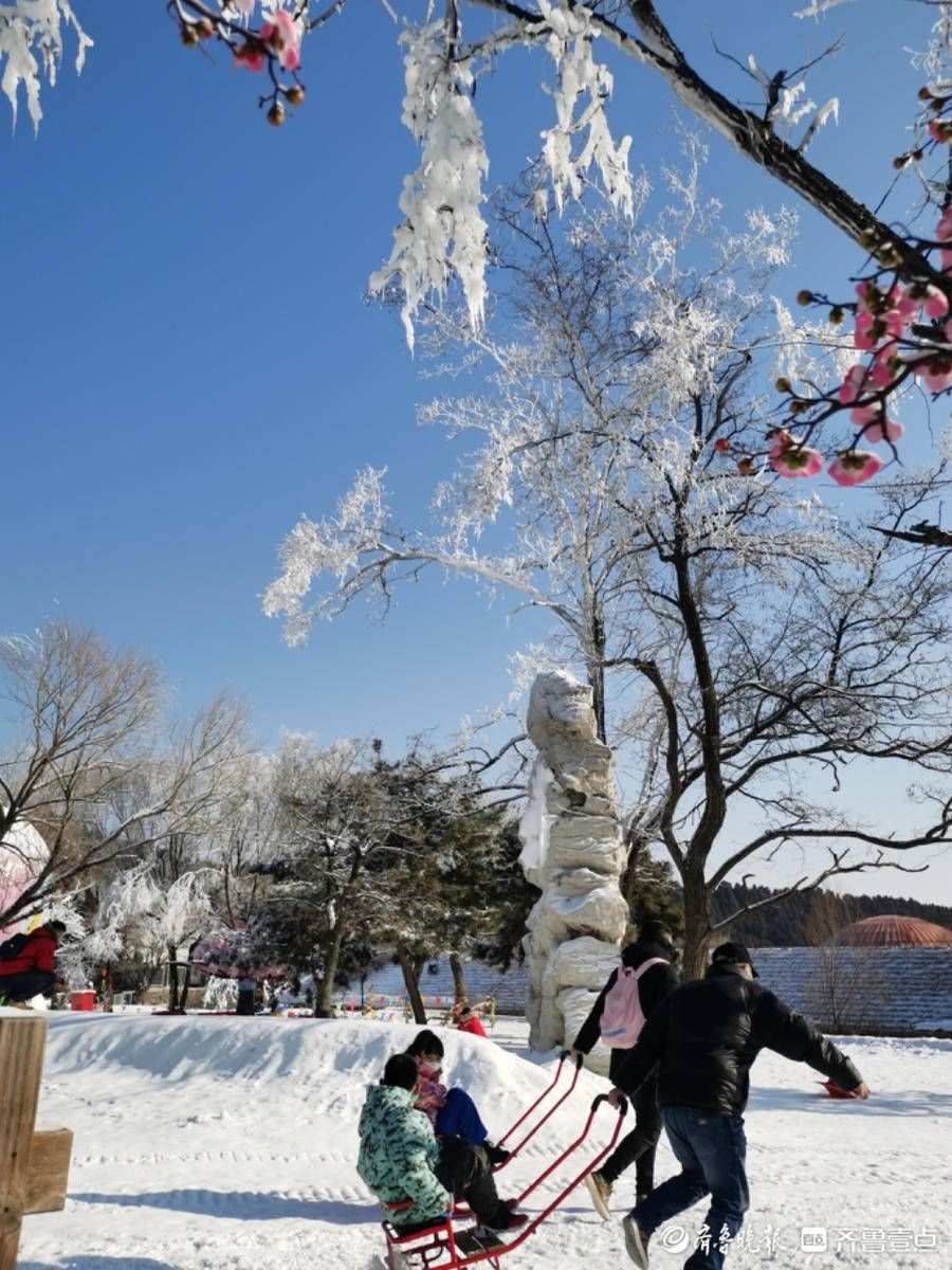 跑马岭|虎啸春来丨春节期间，来跑马岭感受沉浸式冰雪乐园