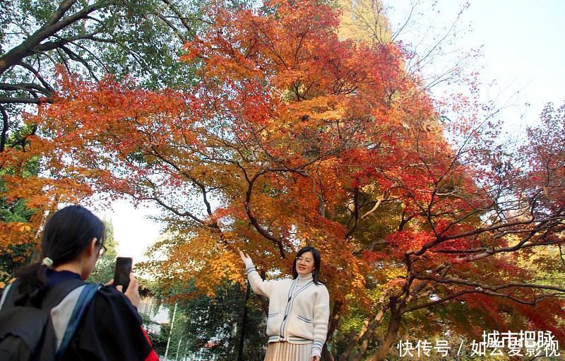 校训|被江苏高考状元嘲讽，苏州大学：希望我们的校训对该孩子有所启迪