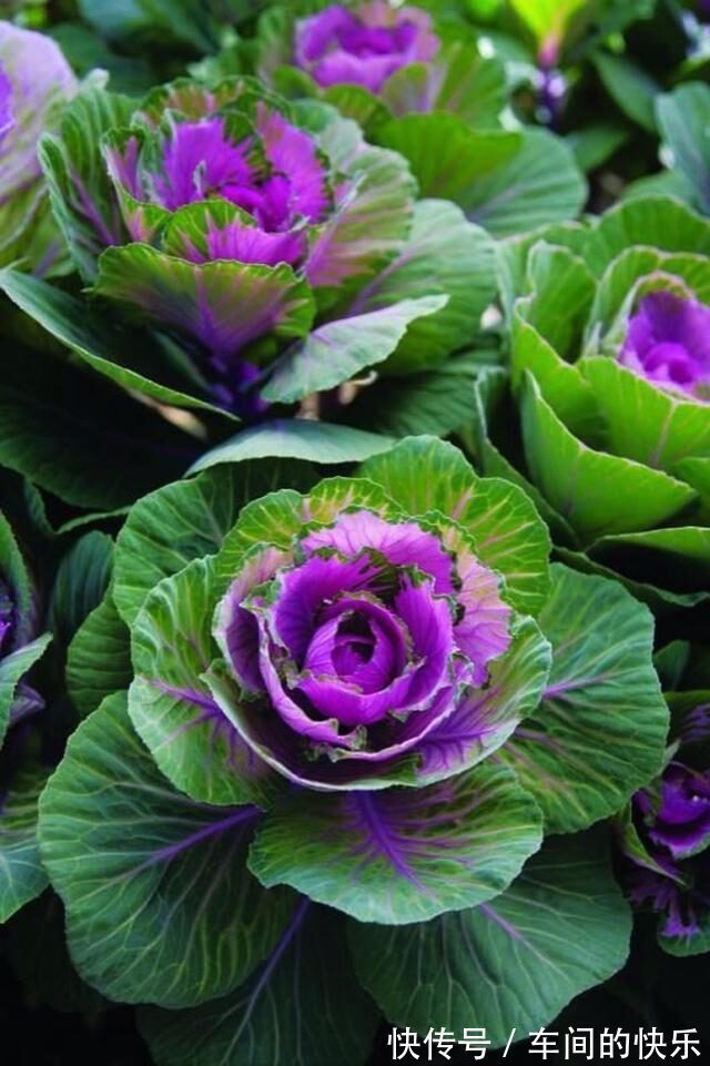 |幽默与笑话六则 月薪十万等