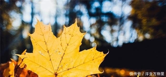 韩信|老实人,牢记这两条“人情世故”,也可以游刃有余