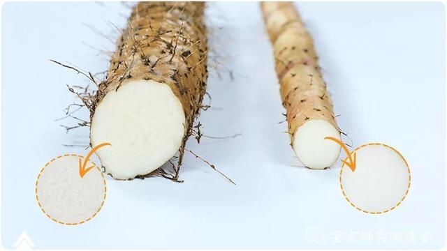 半根山药2个蛋黄，这样做补脑又润肺，上桌瞬间秒光！