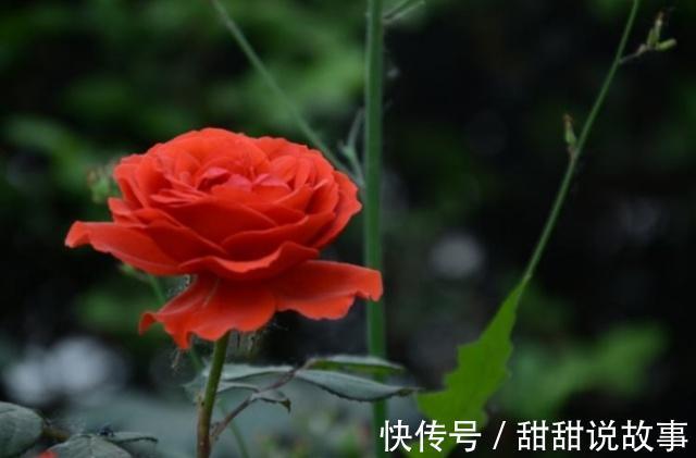 部下|《道德经》懂得此理,就懂得“完美”的内涵!