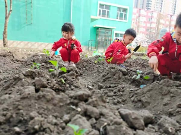 幼儿|牡丹江市幼教中心：科学衔接　共育成长（生活适应篇）（图）