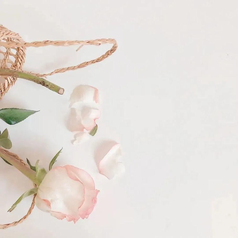 用一句诗词总结你的2020，你会想到哪句？