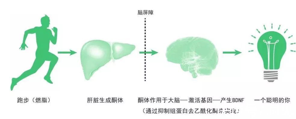 上有老下有小|中年以后，跑步与不跑步，过的是不一样的人生