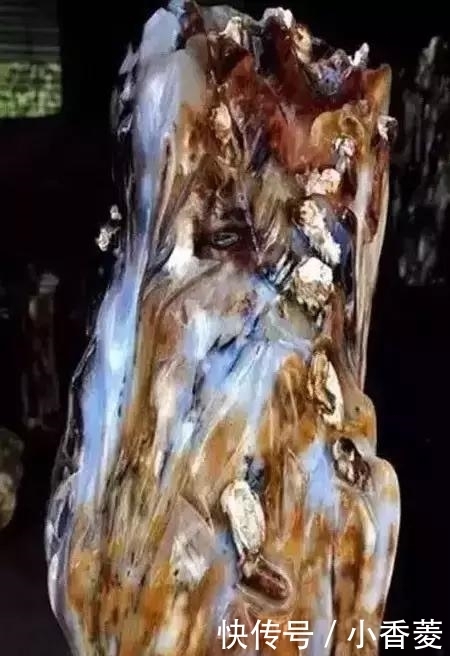 虫子|2亿年前的五条虫子 与大树一起变成了玉石!