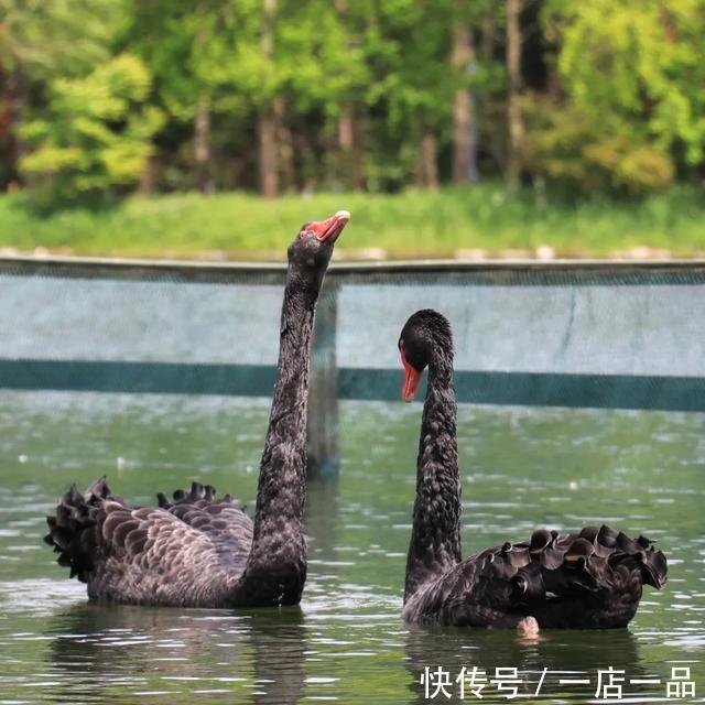 花博南园最大单体建筑开业，听鸟语、赏美景，等你来打卡咯！