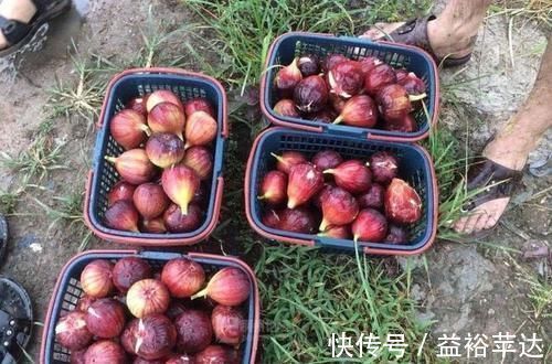 女人|女人爱美,学会吃3种食物,补充营养,延缓衰老,增强抵抗力