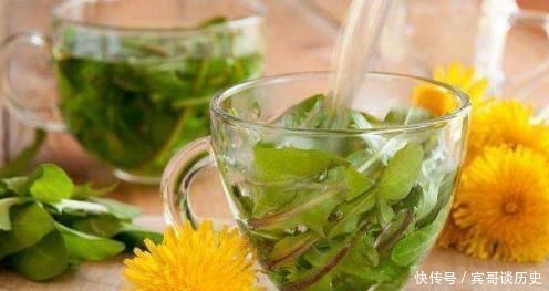 蒲公英|老中醫的祖傳秘方此物泡水喝,不出7天,排光體內濕毒