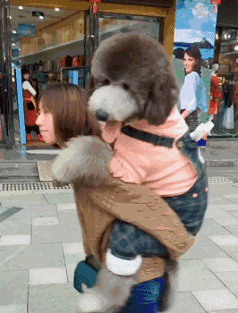 |搞笑GIF:就当是给村里扫地了,好事做到底!