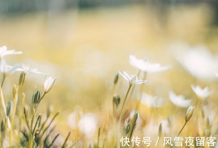 春天里#诗词丨诗词中的春天,总是美的令人心醉