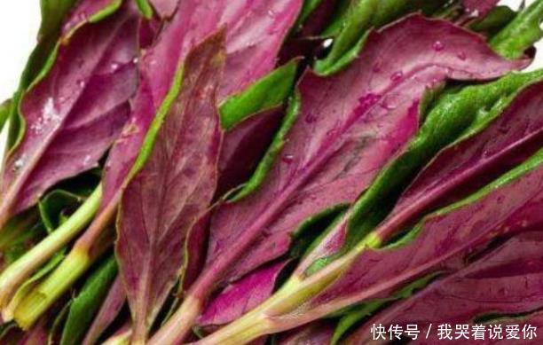 发芽|以下的六种蔬菜,奉劝你不要端上饭桌,能够忍住才可以留住健康