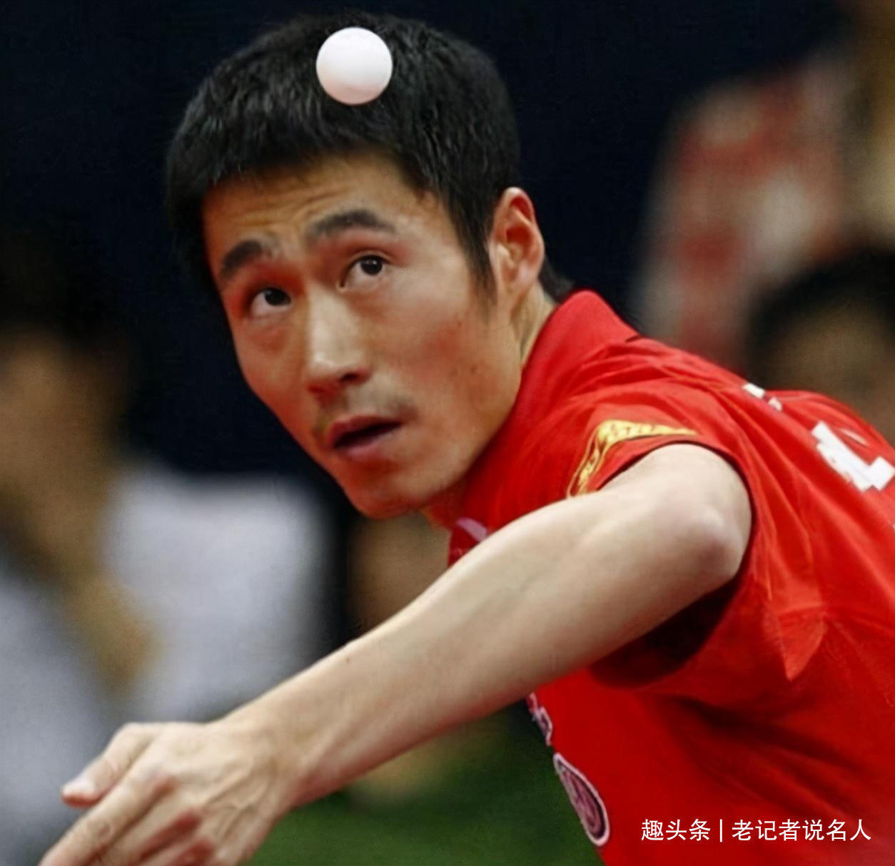 爸爸|二胎爸爸王励勤:37岁才结婚,迟来的婚姻也幸福