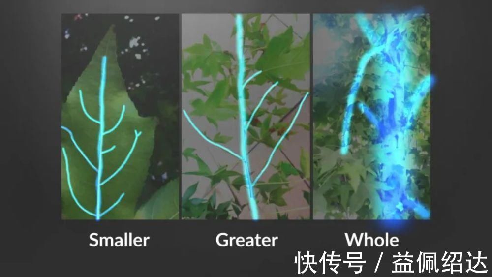 迪士尼|干货！迪士尼是如何设计动画元素和角色的？