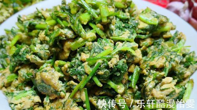 茴香|天热就馋这道菜,简单好做易消化,营养下饭不油腻,端上桌就抢光