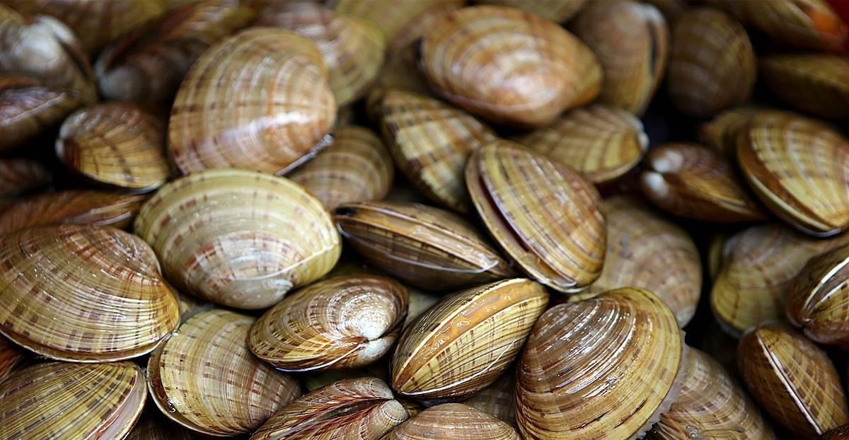 2种海鲜寄生虫“扎推”，鱼贩子从不吃，偏偏很多人爱买