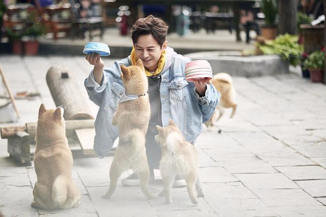 《向往》中情商最低的嘉賓何炅和黃磊都帶不動，大寫的尷尬