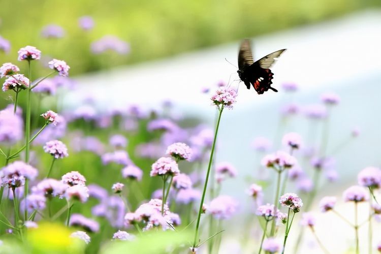 事實(shí)上，看看你家的這個(gè)地方，就知道你過得好不好，沒必要假裝