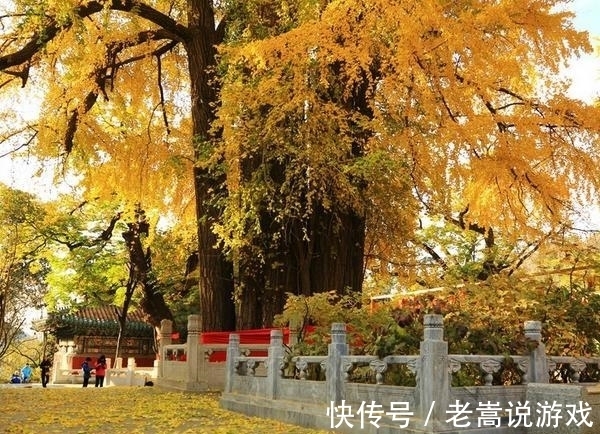 大鹏金翅鸟|潭柘寺：皇家第一寺院