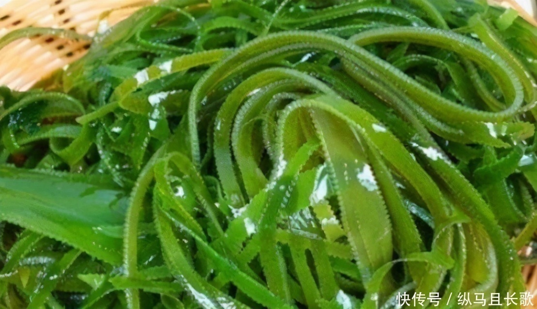 补充|女性过了45岁,要舍得3种食物,补充雌激素,有助于延缓衰老