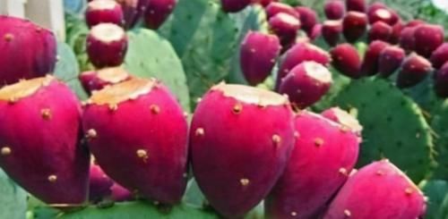 女性|女性不愿老得快，坚持多吃3种食物，排毒养颜，抵抗衰老