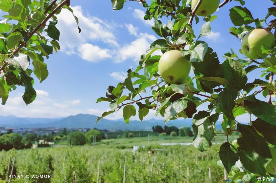 睡魔|日本青森夏日祭--神秘而热闹的睡魔祭