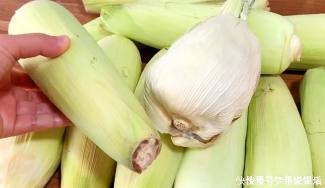 黑粉菌|它和玉米共生，农民见了头疼，城里人却当成美食，简单一蒸，真香