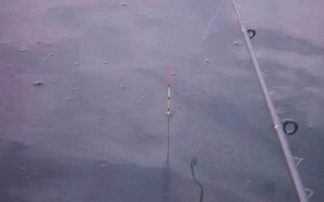 鲫鱼|盛夏如何野钓鲫鱼,只需五招轻松有效!