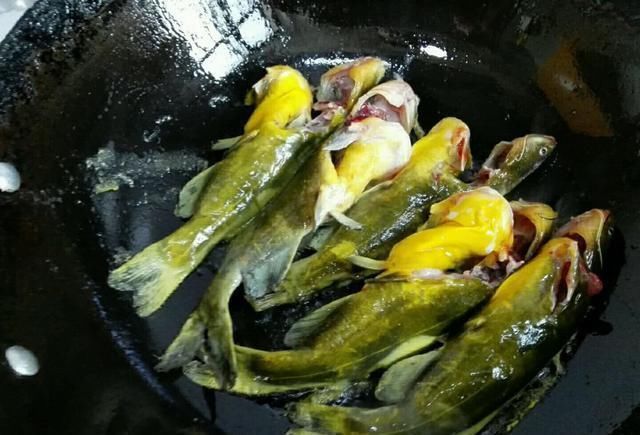 黄骨鱼|此鱼现在很“少见”，无鳞无刺肉质特别鲜嫩，遇到就多买