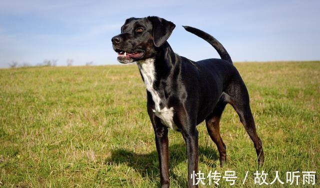 暴病!故事:父母暴病而亡,他坠入土沟,忽见一个道士,道士:苍天有眼