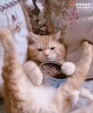 |搞笑图集:你们公司中秋发了啥?网友:发了个通知,说不放假