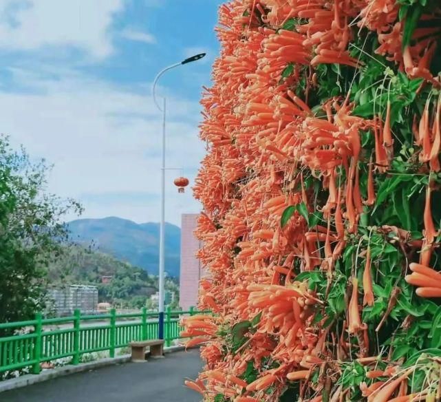 春暖花开踏春去