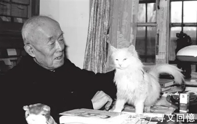 一日三餐|季羡林晚年百病缠身,却平安活到98岁高龄,首创“三不”养生术