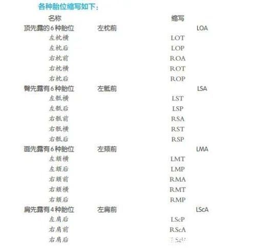 骨盆|孕期,怎样看懂胎位数据,早了解,早纠正