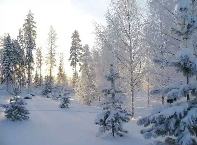  音频|大雪时节！禹城诗词学会退休老干部咏冬诗歌作品集锦十九（音频）