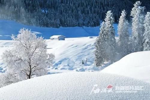 冬日新疆 “仙气”飘飘