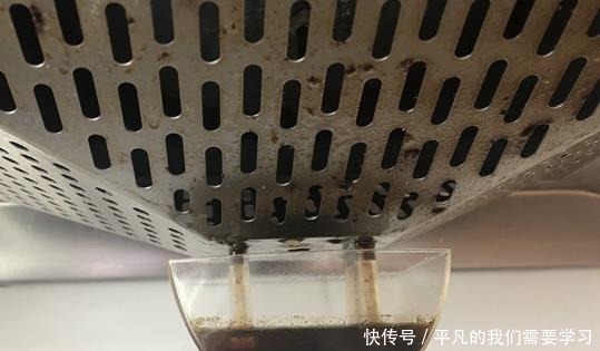 什么残茶水、蚯蚓粪都不如它,往盆里埋10滴,叶子油亮开花旺!