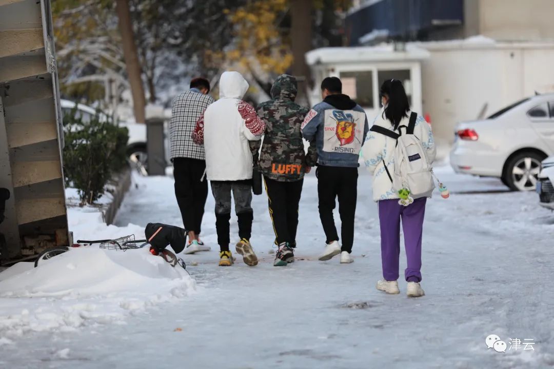 行车|天津雪景图“到货”！路面情况怎么样？高速、公交受影响吗？