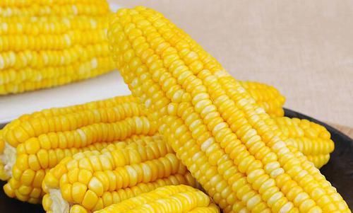 孩子天天拿玉米当早餐，考试次次第一老师都怀疑作弊，健康益智