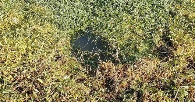 冬季钓鱼讲究人找鱼,学会这样选点打窝,让你狂钓大板鲫