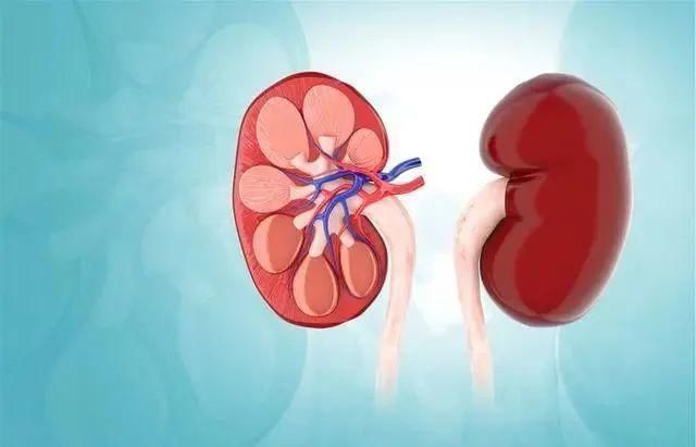 肾衰|45岁男子糖尿病入院,肾衰去世,医生:1事放纵,血糖易“飙升”